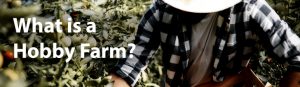 What is a Hobby Farm?