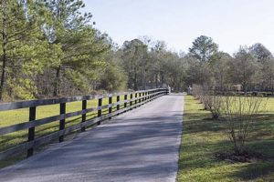 A long driveway lined with trees.