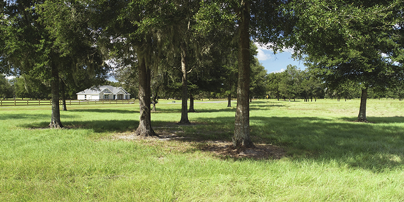 The the park-like setting of the Sorrel Ridge Community