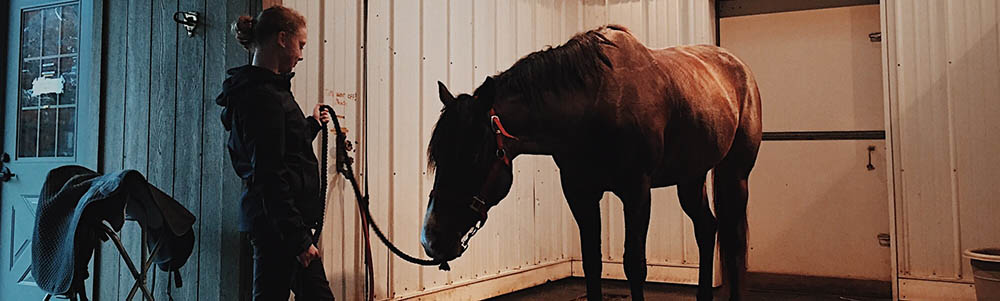 COVID-19 and Equine Safety: What Horse Owners and Equine Professionals Need to know