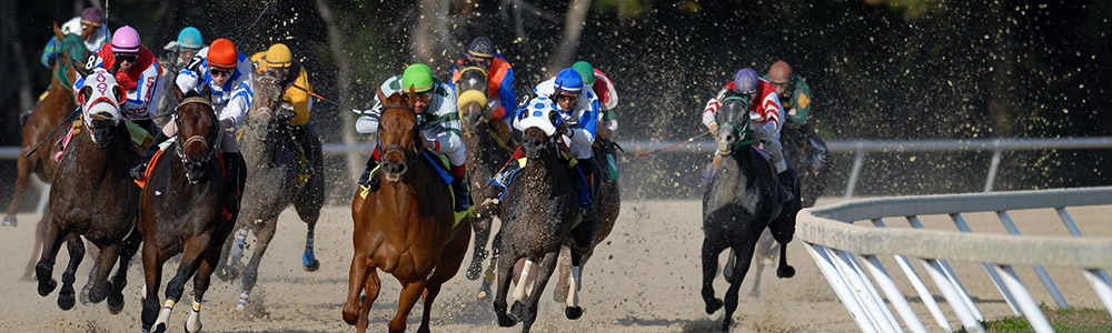 Everything You Need to Know About the 2020 Belmont Stakes