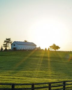 A horse farm at sunrise.