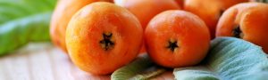 Loquats