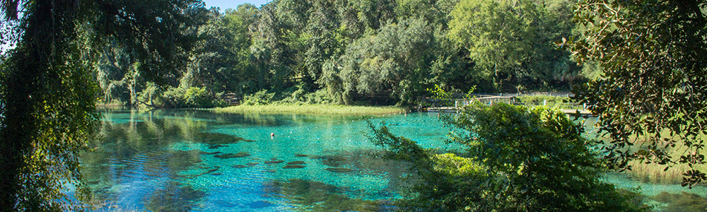 Beautiful springs in the Ocala area