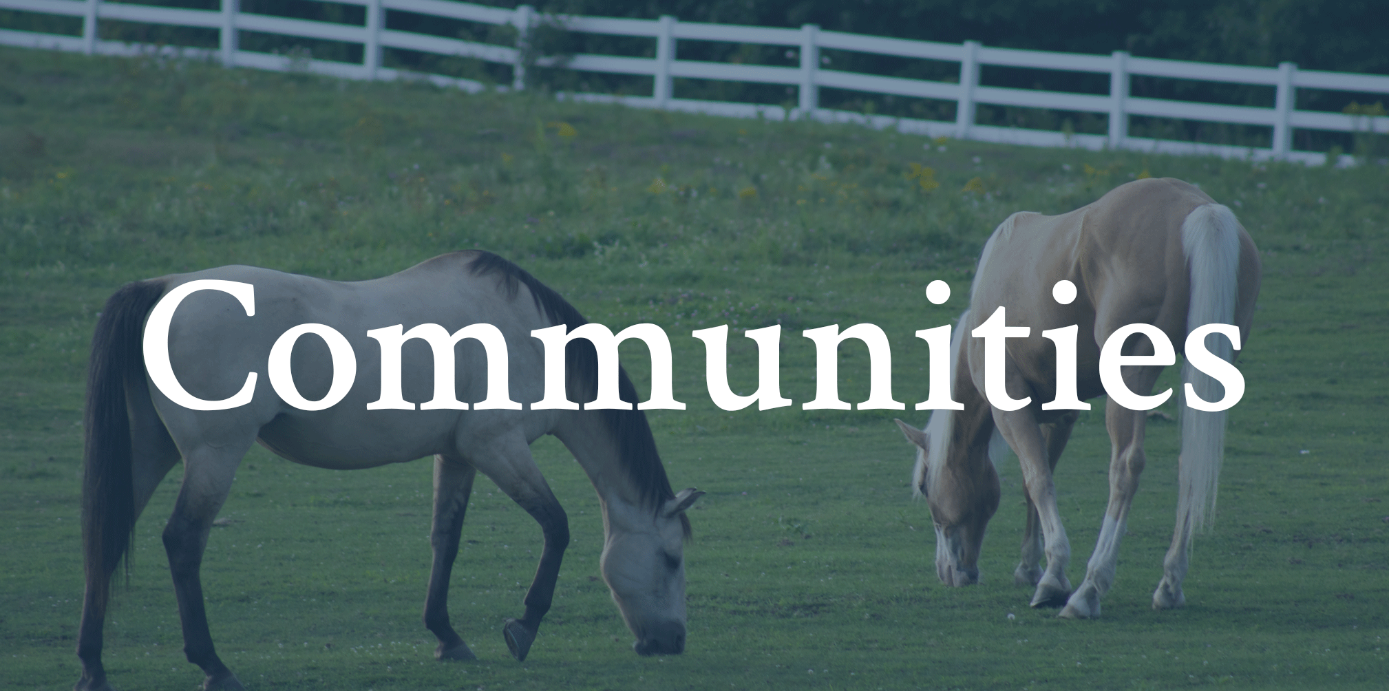 Click here to take a look at Ocala Area Equestrian Communities.
