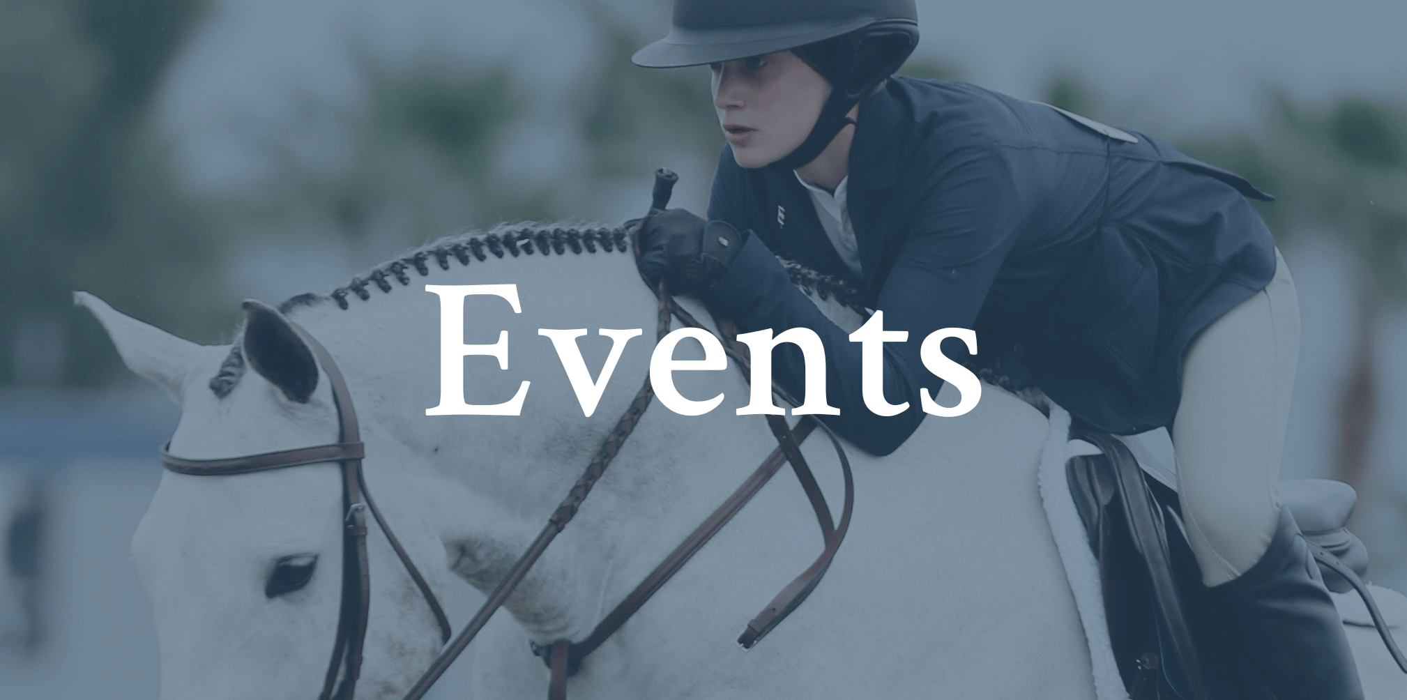 Click here to take a look at Ocala Area Equestrian Events.