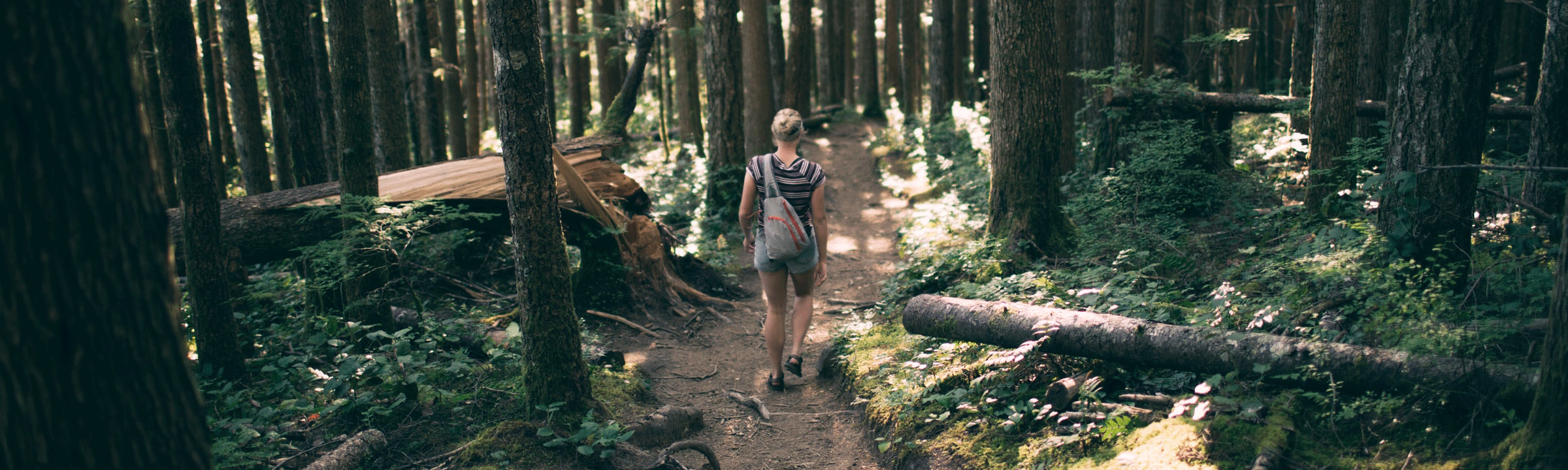 A woman hiking on a woodsy trail.