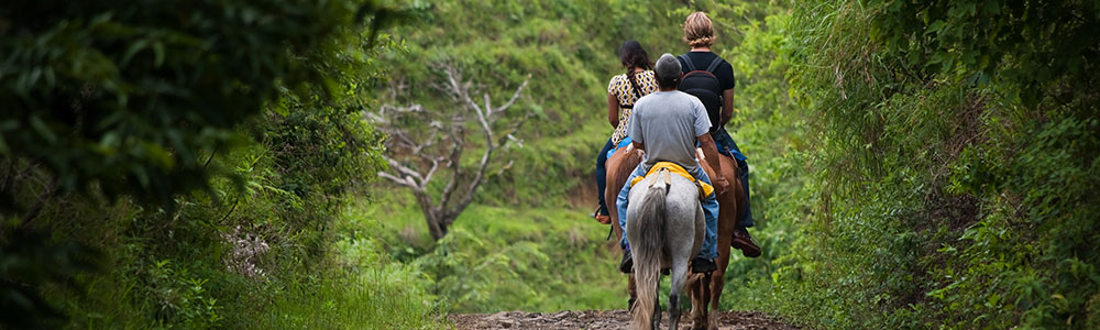 Horseback riders on a trail.