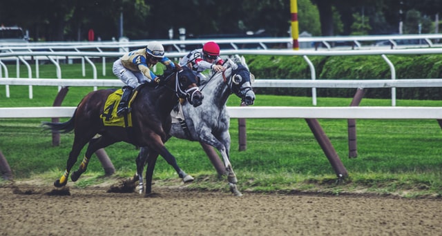 Horses Racing on a track