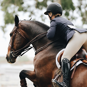 Tack Shack of Ocala