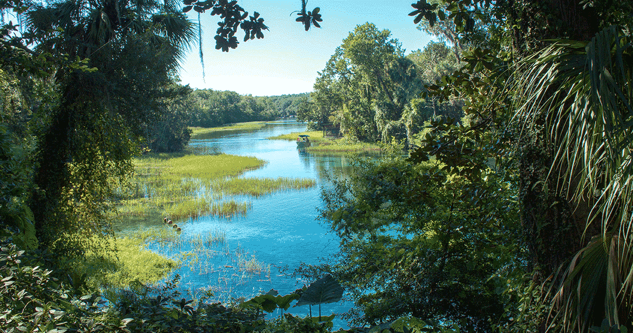 A lovely river view of a Marion County waterway