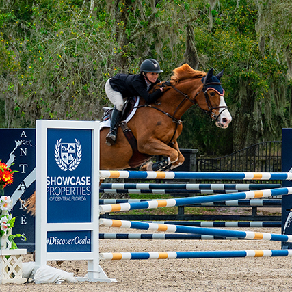 A horse and rider jumping over the Showcase jump at the Florida Horse Park