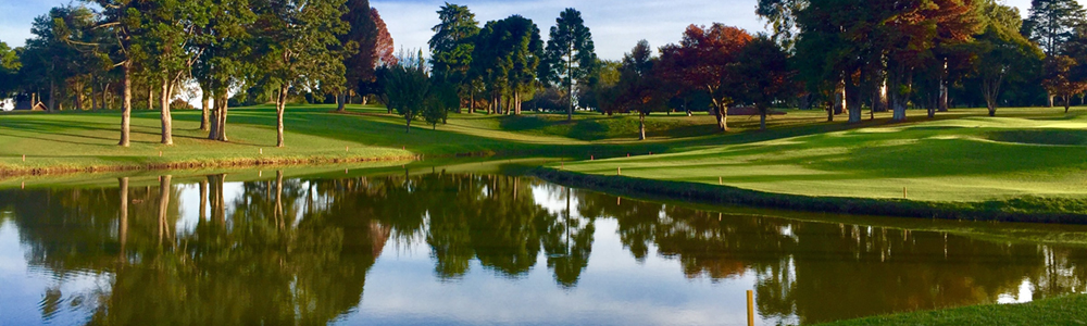 A reflective lake in a golf course.