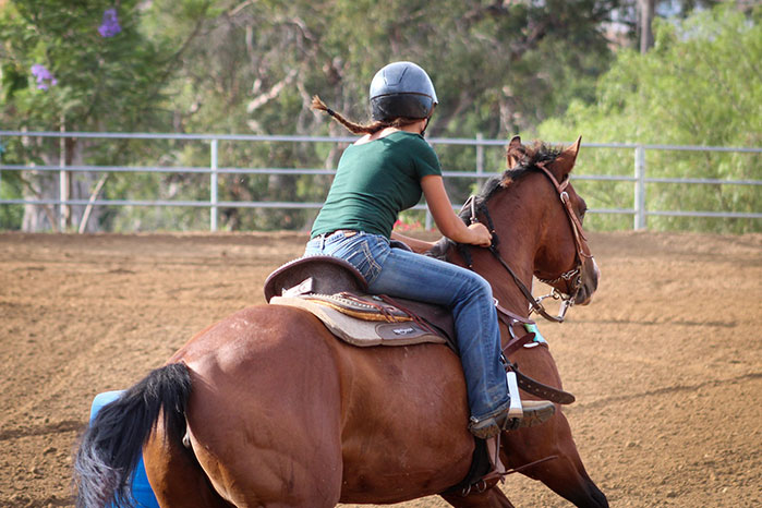 A horse and rider racing around a barrel.