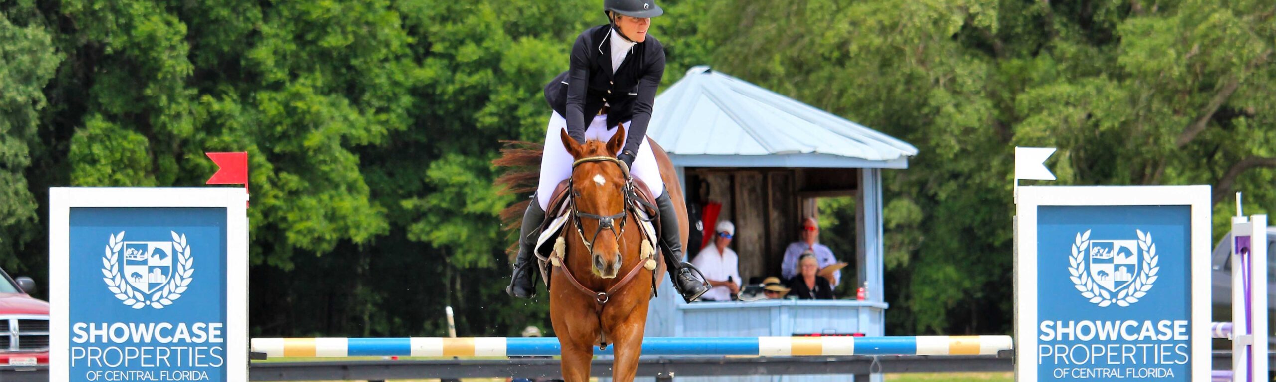 A competitor horse and rider jumping over the Showcase Properties at the Florida Horse Park.