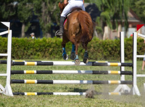 A horse and rider jumping.