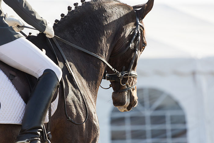 A horse and rider at a dressage event