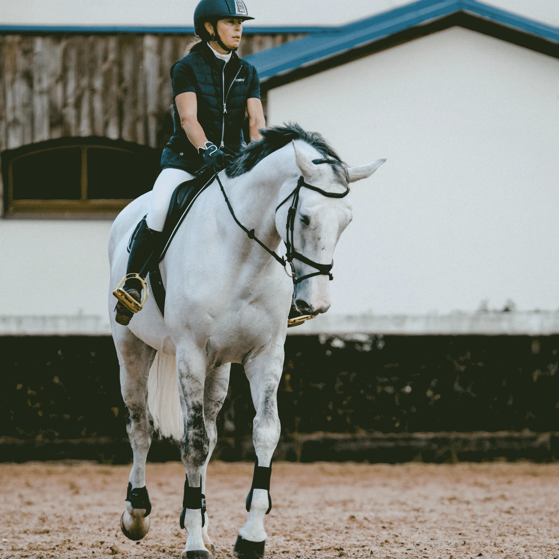 A girl riding her horse in an arena