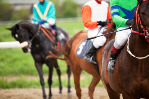 Horses at the race.