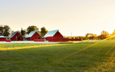 Buying a Horse Property or Farm
