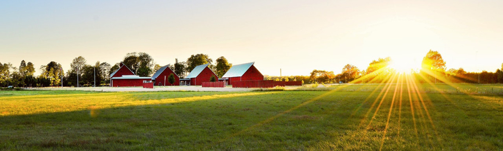 Buying a Horse Property or Farm