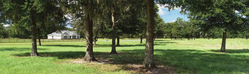 Build Your Dream Home | Equestrian Neighborhoods With Homesites