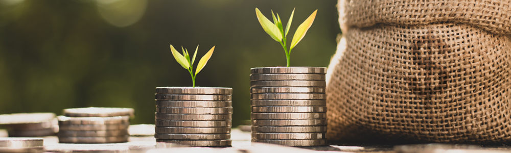 The seedlings are growing on coins that are stacked on fertile s