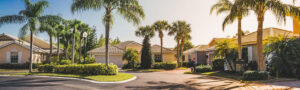 A Florida neighborhood with palm trees swaying in the breeze.