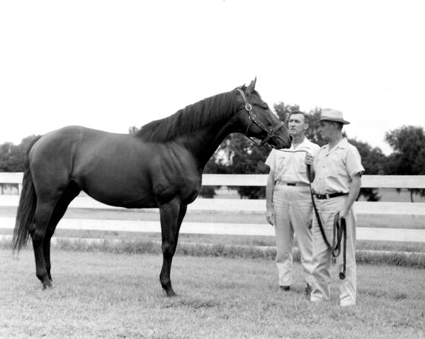 Horse with trainers at Bonnie Heath Farm - Ocala, Florida; State Archives of Florida