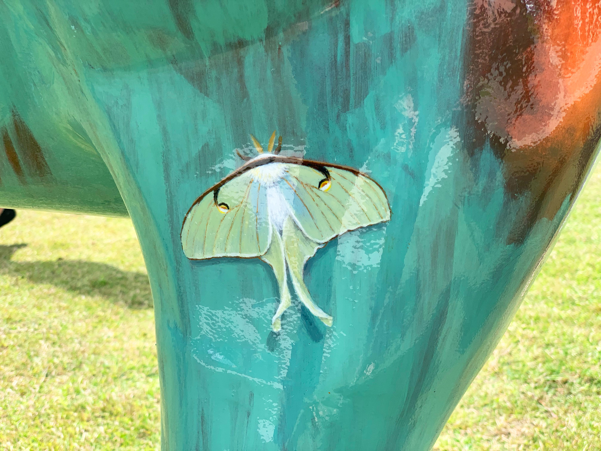 Luna moth detail on Hope.