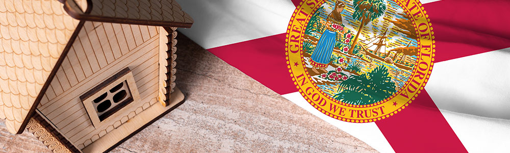 Florida Taxes | A Look at the Difference Between Florida and Other States