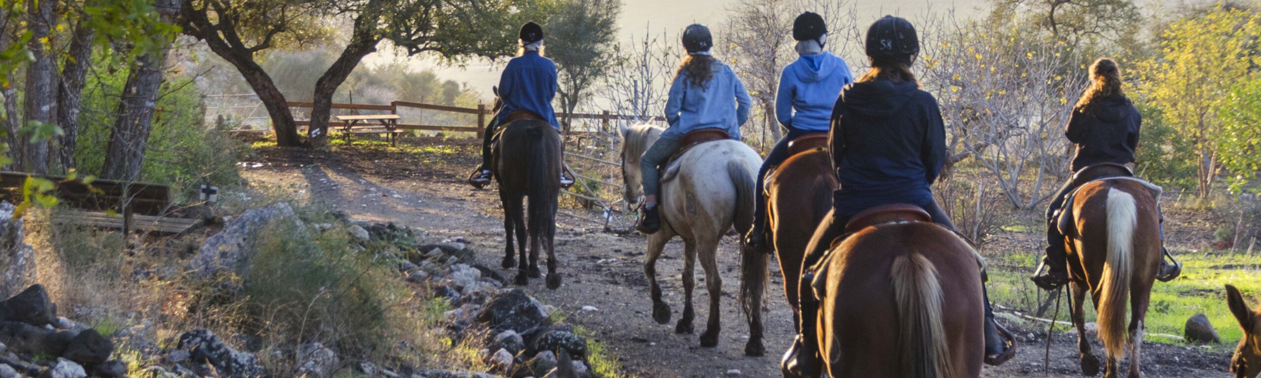 Riders on a horse trail.