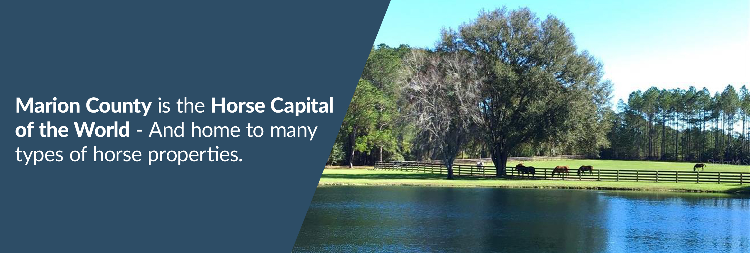 Marion County is the Horse Capital of the World® and home to many horse properties.