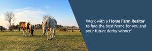 Work with a horse farm realtor to find the best home for you and your future derby winner - horses on a hose farm