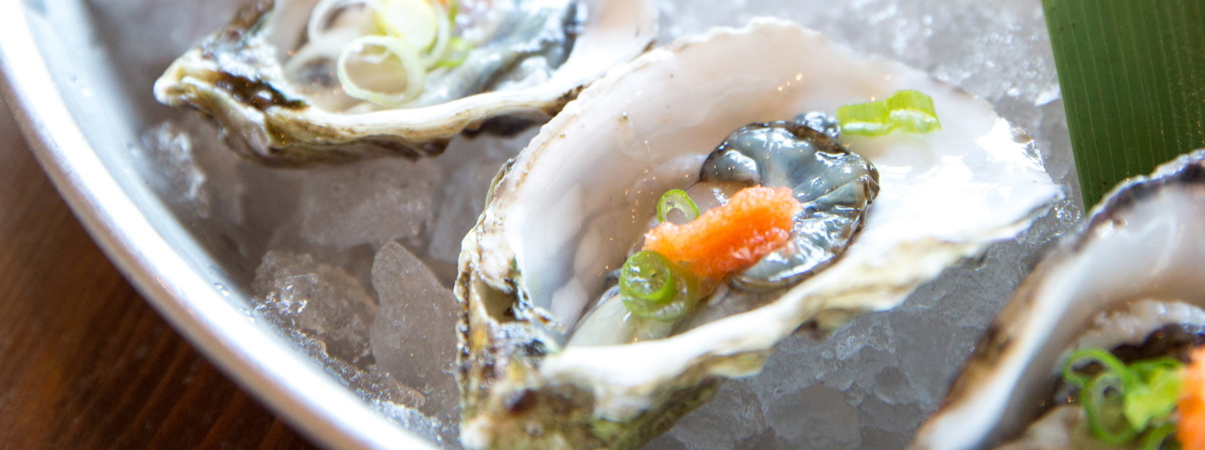 Juicy oysters on the half shell.