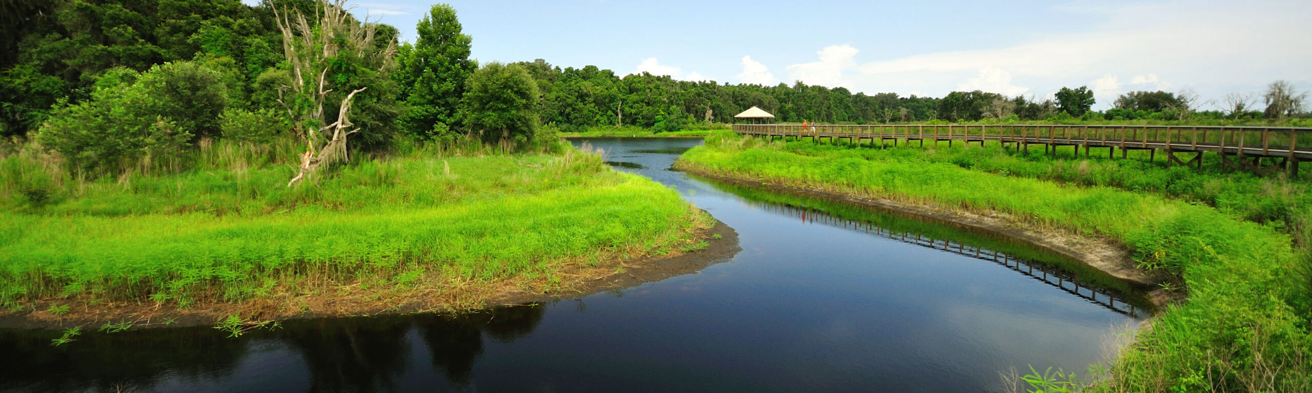 A view from the boardwalk at Paynes Prairie.