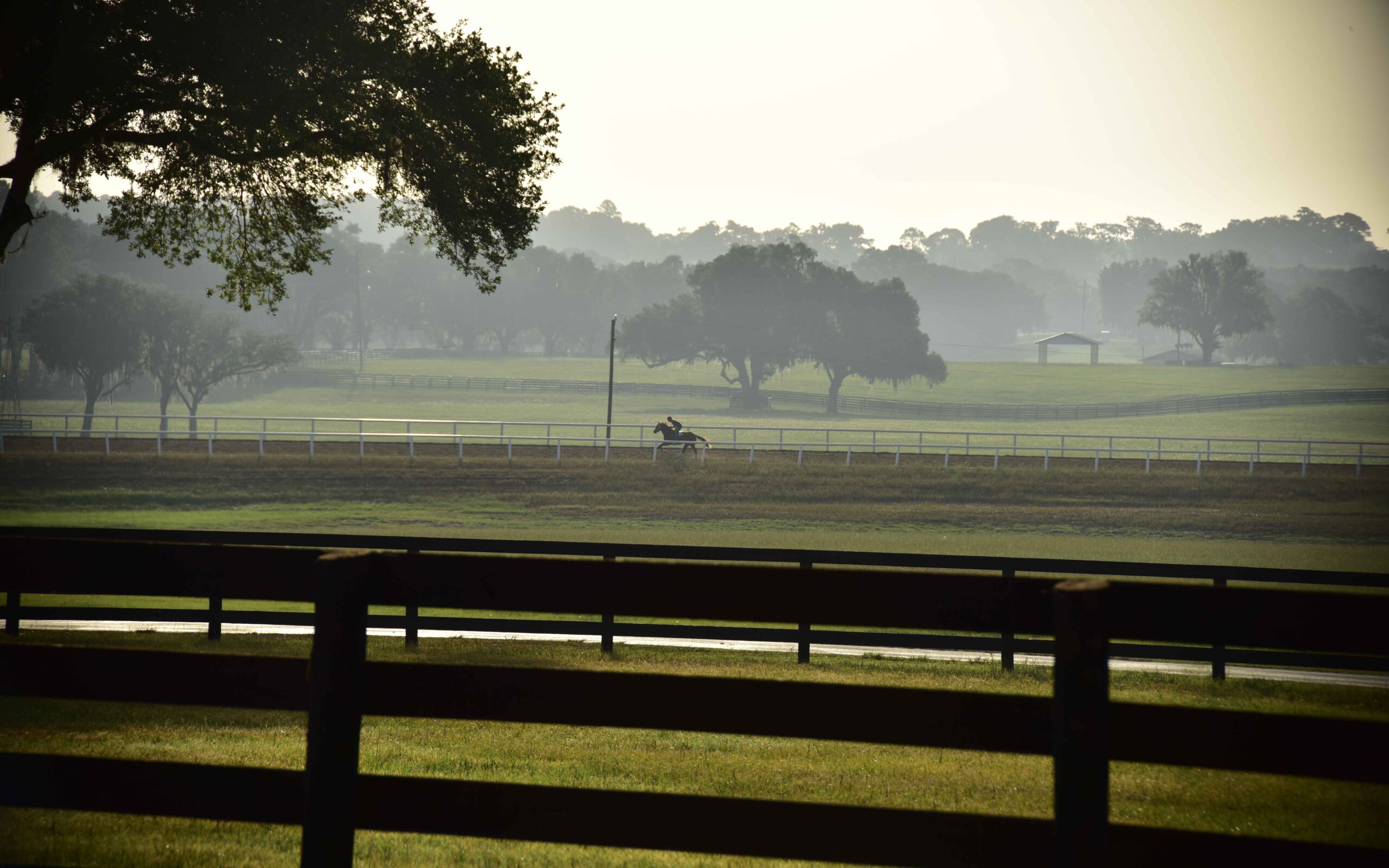 A jockey riding a horse on the track at Bridlewood Farm