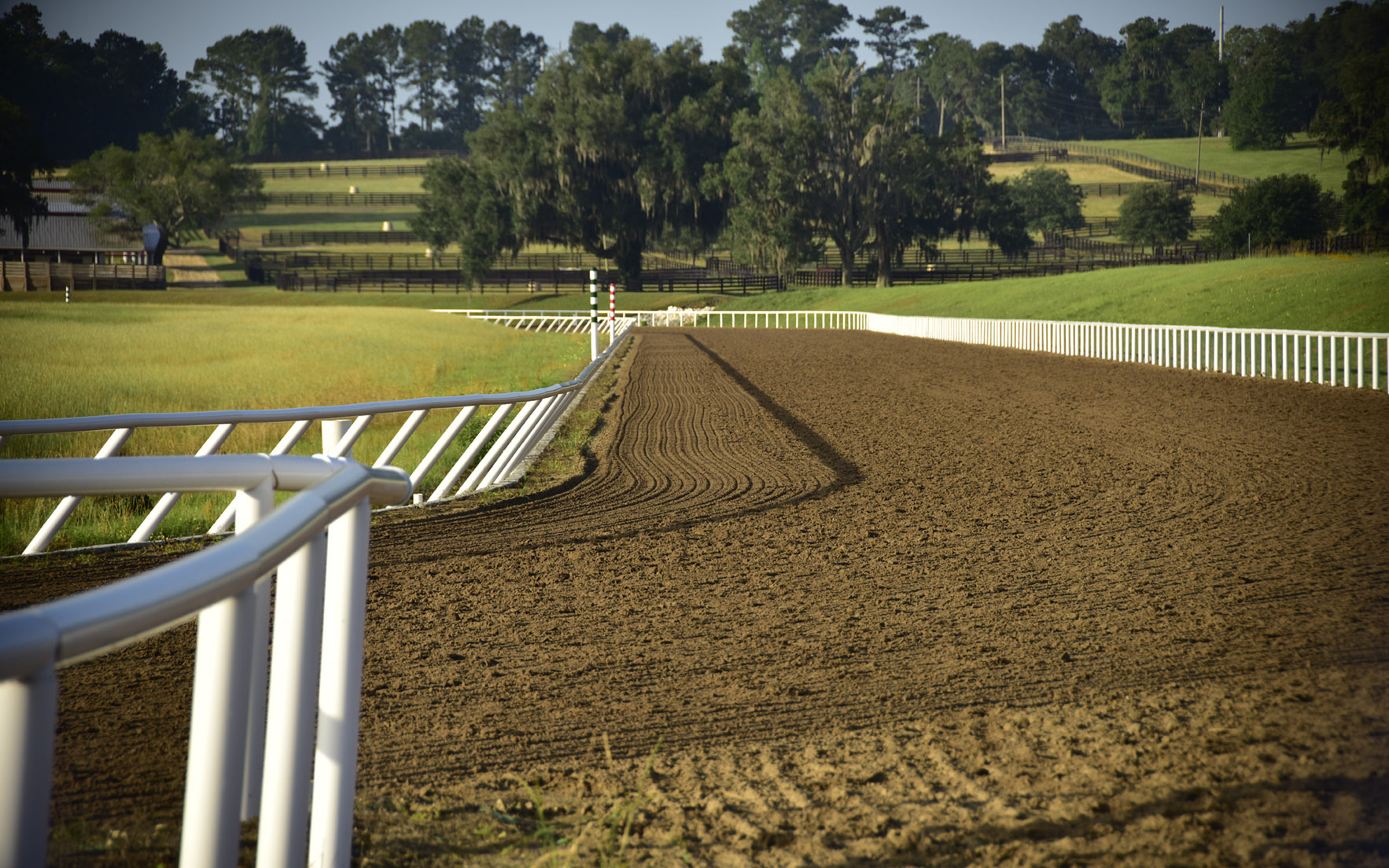 Looking down the track at Bridlewood Farm