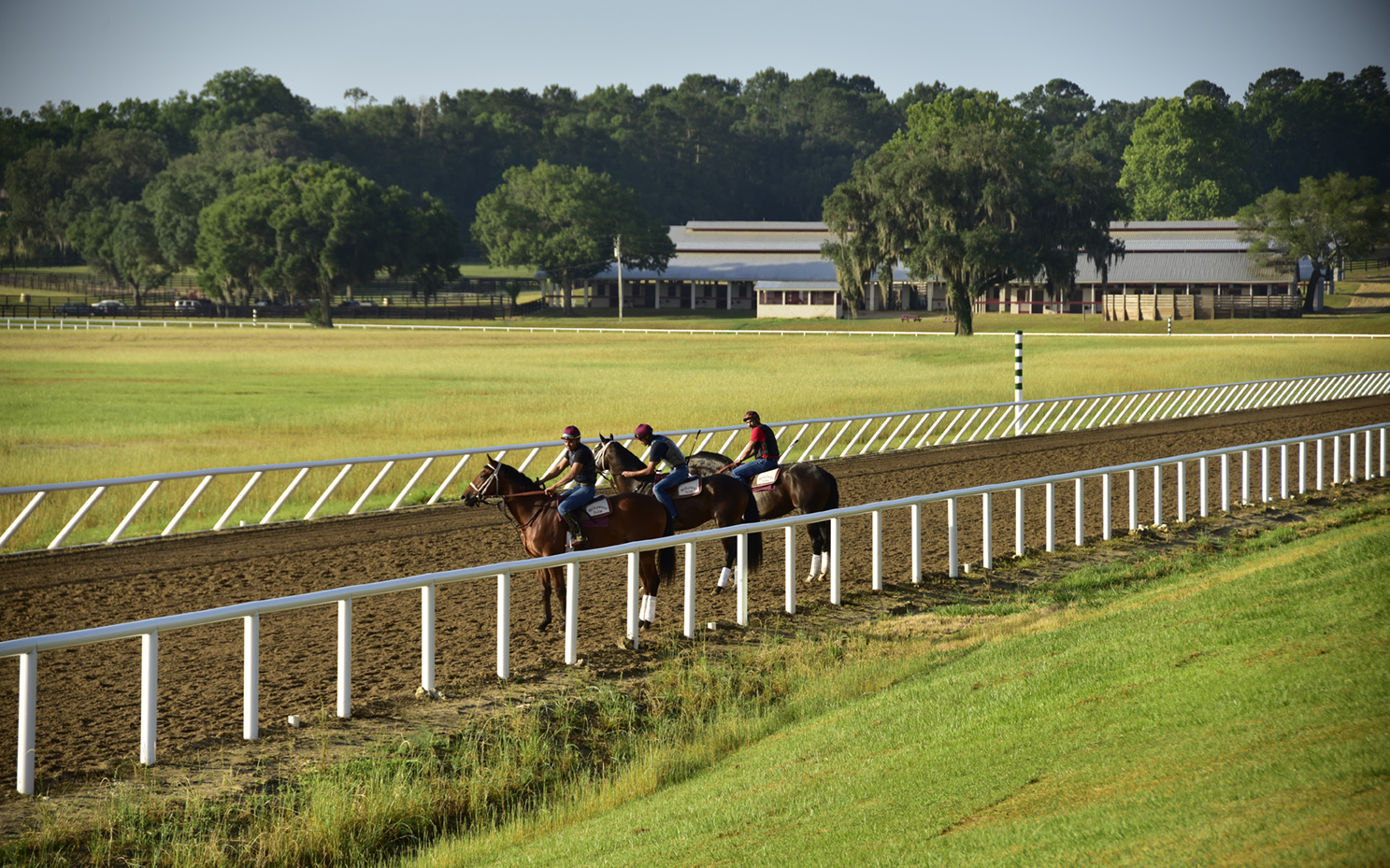 Jockey's waiting to race on the track at Bridlewood.