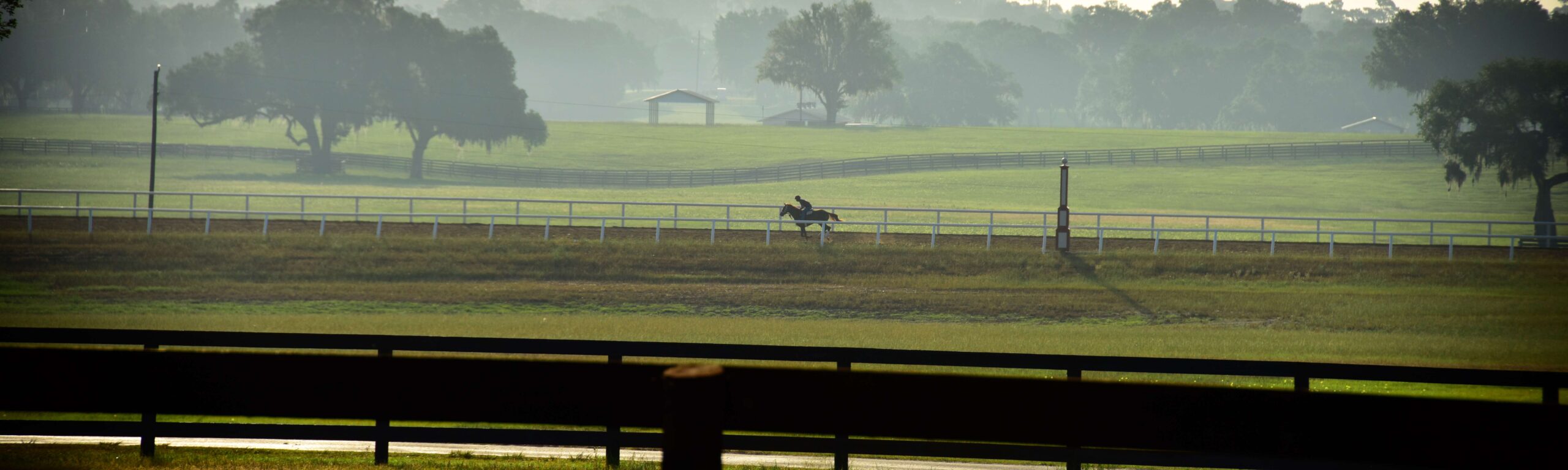 A horse and jockey on the track at Bridlewood Farm