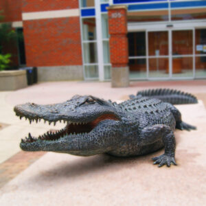 An alligator sculpture outside the Stadium at UF