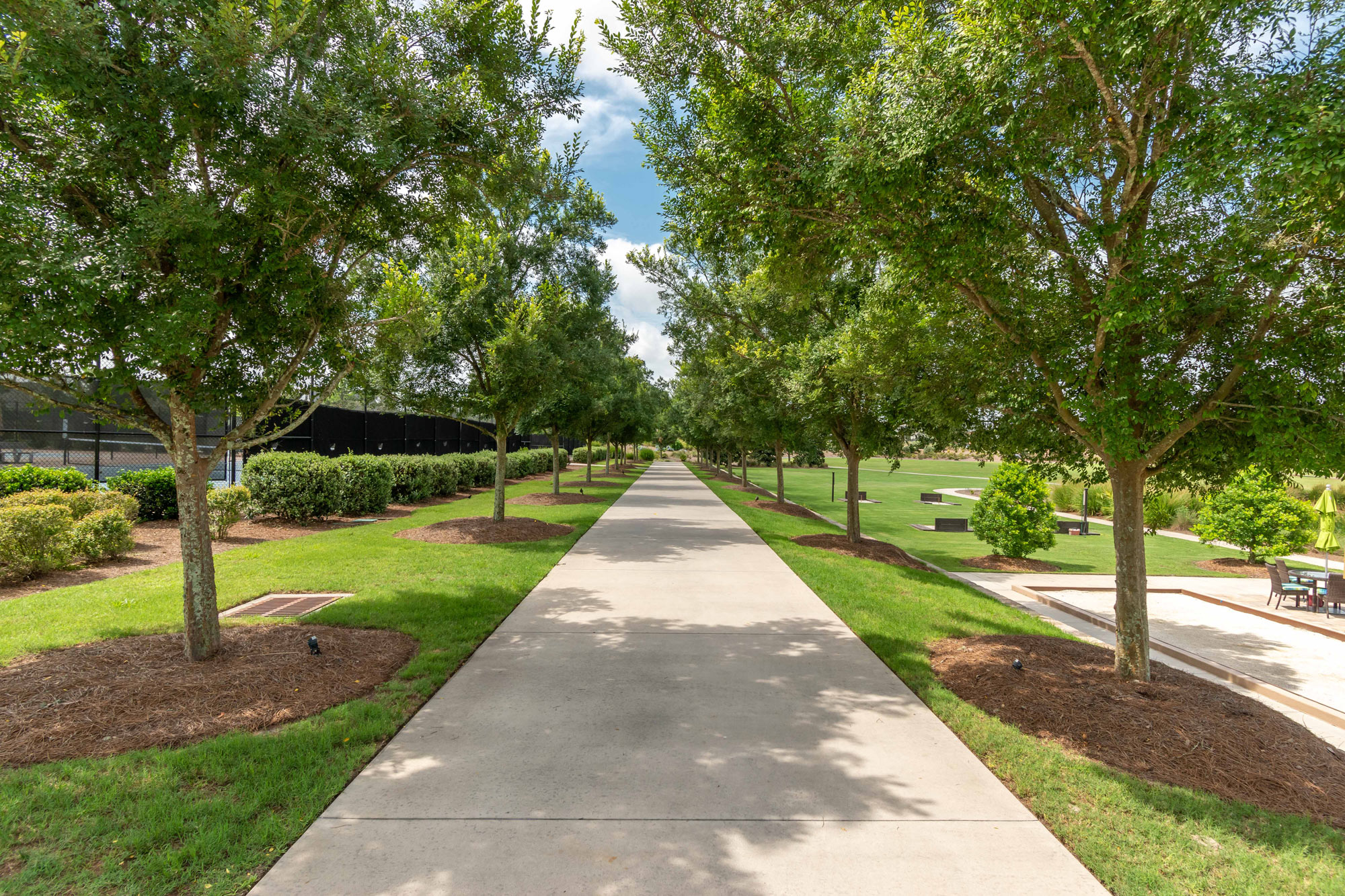 A tree-lined sidewalk in the Ocala Preserve neighborhood.