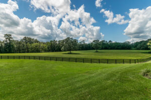 A rolling green pasture with fencing.