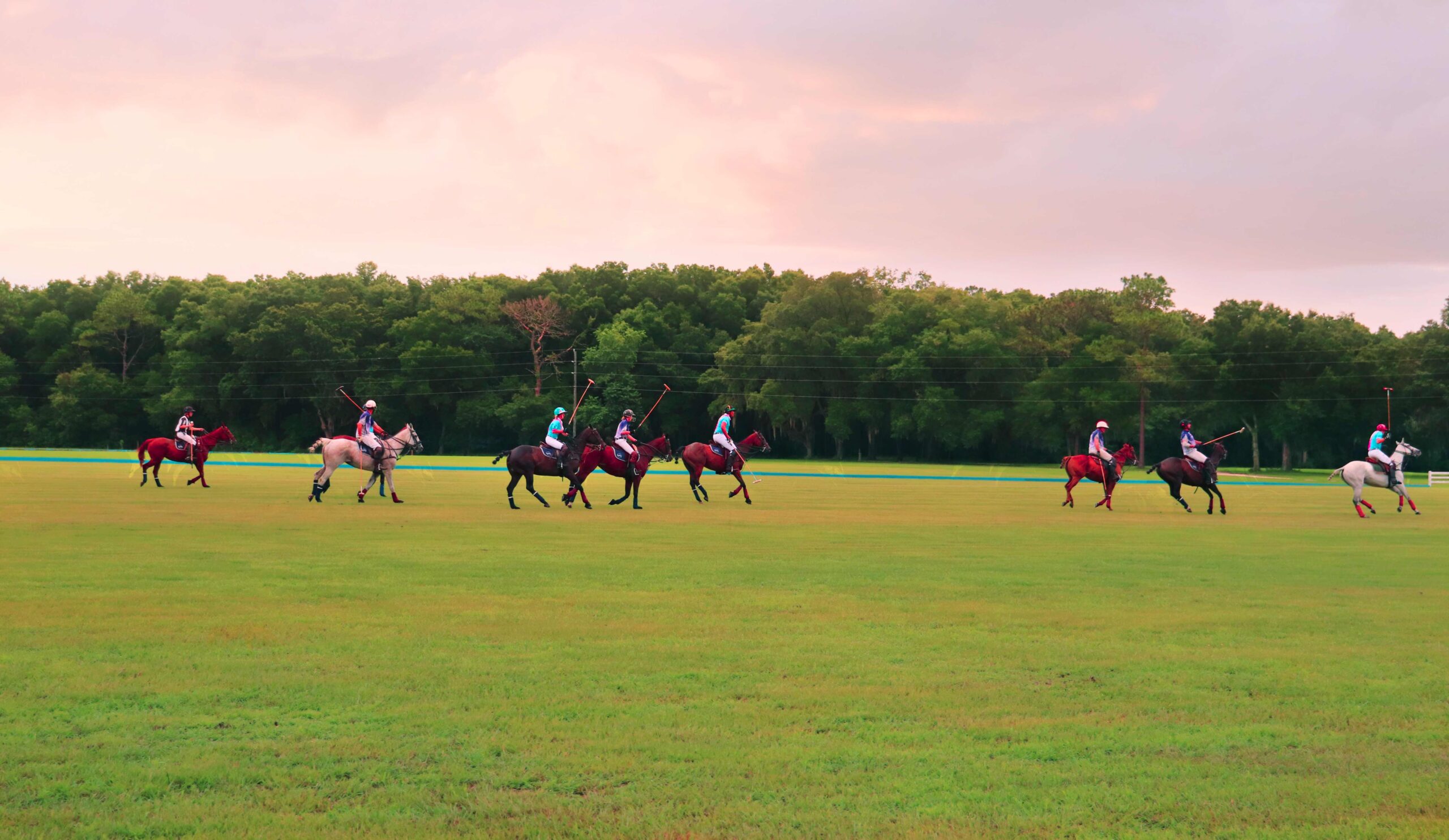 A Ocala Polo Club match at the Florida Horse Park