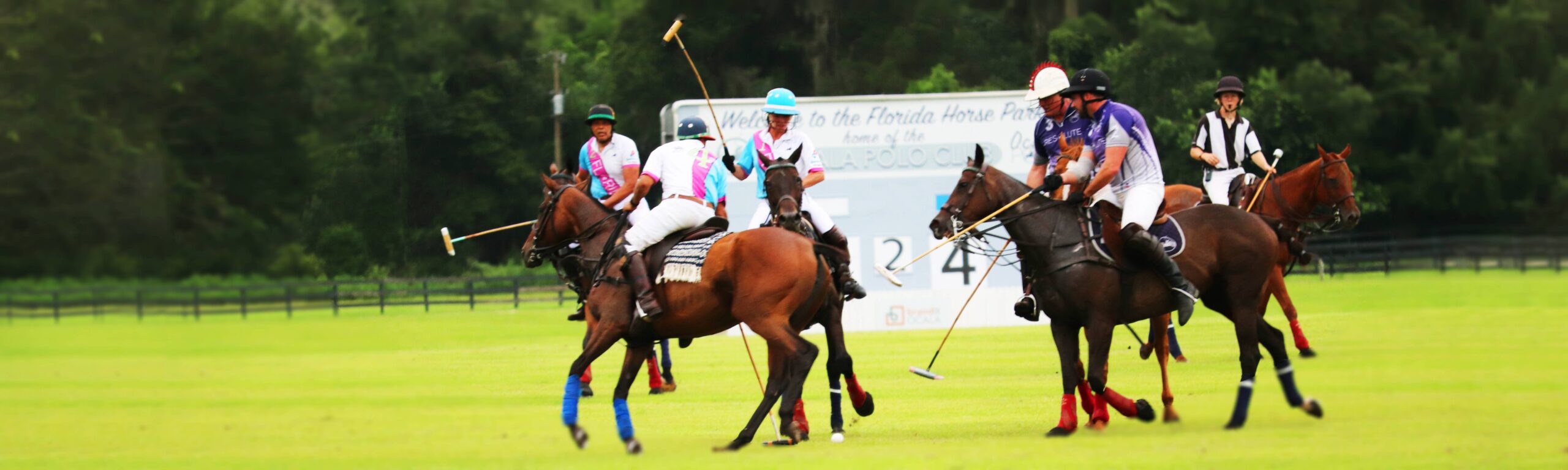 A polo match at the Florida Horse Park