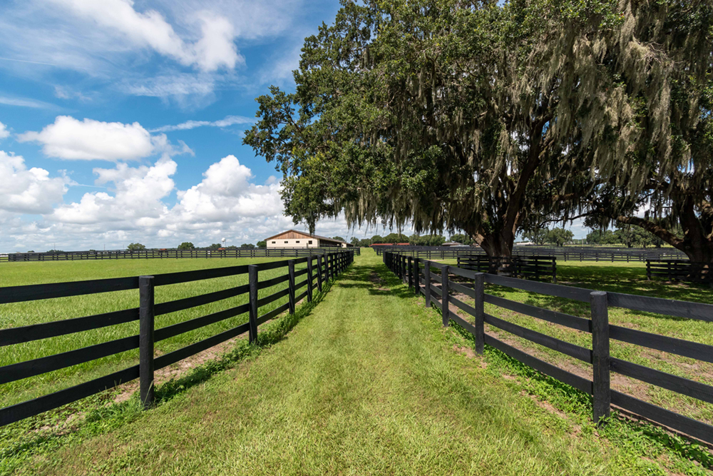 Green pastures at Sequel at Winding Oaks