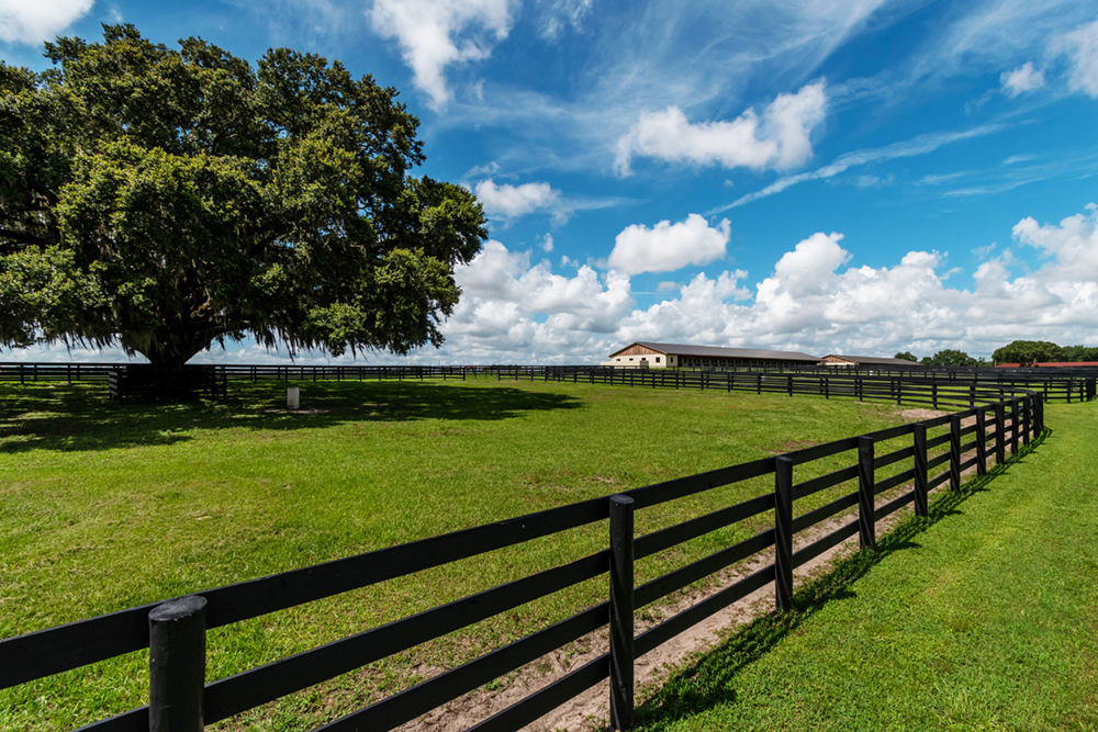 A view of the barn at Sequel at Winding Oaks Farm