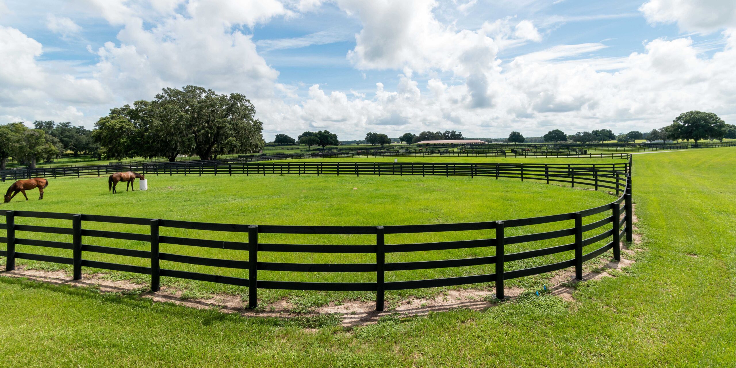 A mare and foal at Bridlewood Farm.