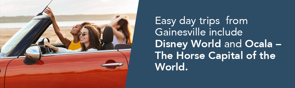 Easy day trips  from Gainesville include  Disney World and Ocala – The Horse Capital of the World.