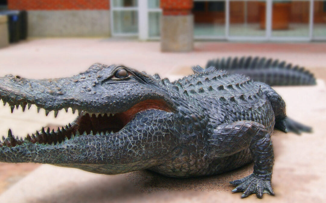 The University of Florida | Gators at Heart